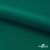 Ткань подкладочная Таффета, 19-5420, 53 г/м2, антистатик, шир. 150 см, вечнозеленый - купить в Биробиджане. Цена 57.16 руб.