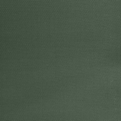 Оксфорд (Oxford) 240D 19-5917, PU/WR, 115 гр/м2, шир.150см, цвет т.зелёный - купить в Биробиджане. Цена 152.54 руб.