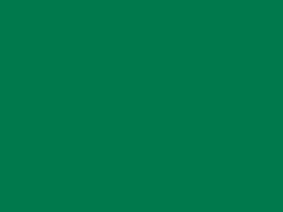 70 см № 258 св. зеленый молнии спираль - купить в Биробиджане. Цена: 14.58 руб.