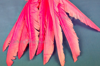 Декоративный Пучок из перьев, перо 25см/розовый - купить в Биробиджане. Цена: 14.40 руб.