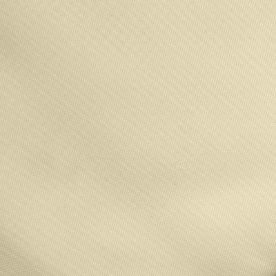 Ткань подкладочная Таффета 14-1014, антист., 53 гр/м2, шир.150см, цвет бежевый - купить в Биробиджане. Цена 62.37 руб.