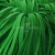 Шнур 15мм плоский (100+/-1м) №16 зеленый - купить в Биробиджане. Цена: 10.32 руб.