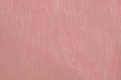 Органза однотонная "Амелия" С19 (Розовый) 280 см - купить в Биробиджане. Цена 303.09 руб.