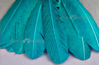 Декоративный Пучок из перьев, перо 24см/голубой - купить в Биробиджане. Цена: 12.19 руб.
