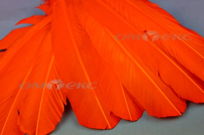 Декоративный Пучок из перьев, перо 24см/оранжевый - купить в Биробиджане. Цена: 12.19 руб.