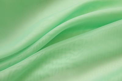 Портьерный капрон 13-6009, 47 гр/м2, шир.300см, цвет св.зелёный - купить в Биробиджане. Цена 143.68 руб.