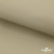 Ткань подкладочная TWILL 230T 14-1108, беж светлый 100% полиэстер,66 г/м2, шир.150 cм - купить в Биробиджане. Цена 90.59 руб.