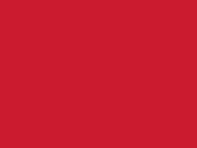 Сетка подкладочная красный, 60г/м2 (10 м/кг) - купить в Биробиджане. Цена 894.77 руб.