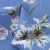 Плательная ткань "Фламенко" 12.1, 80 гр/м2, шир.150 см, принт растительный - купить в Биробиджане. Цена 241.49 руб.