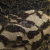Кружевное полотно XD LACE 1-4, 80 гр/м2, шир.150см, цвет чёрный - купить в Биробиджане. Цена 245.94 руб.