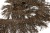 008-коричневый, Бахрома арт.001 шир.10см (упак.12+/-0,5м) - купить в Биробиджане. Цена: 1 017.33 руб.
