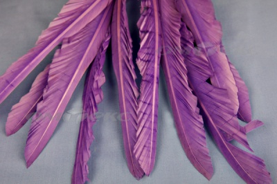 Декоративный Пучок из перьев, перо 25см/фиолетовый - купить в Биробиджане. Цена: 12.19 руб.