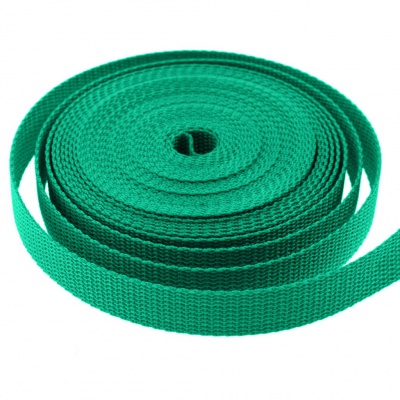 Стропа текстильная, шир. 25 мм (в нам. 50+/-1 ярд), цвет яр.зелёный - купить в Биробиджане. Цена: 397.52 руб.