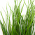 Трава искусственная -4, шт  (осока 50 см/8 см  7 листов)				 - купить в Биробиджане. Цена: 130.73 руб.