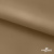 Ткань подкладочная Таффета 17-1327, антист., 54 гр/м2, шир.150см, цвет св.коричневый - купить в Биробиджане. Цена 65.53 руб.