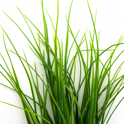 Трава искусственная -3, шт (осока 50 см/8 см  5 листов)				 - купить в Биробиджане. Цена: 124.17 руб.